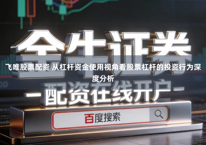 飞唯股票配资 从杠杆资金使用视角看股票杠杆的投资行为深度分析