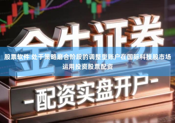 股票软件 处于策略磨合阶段的调整型账户在国际科技股市场运用投资股票配资