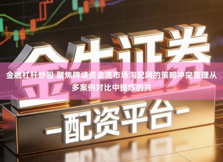 金融杠杆炒股 聚焦跨境资金流市场淘配网的策略冲突管理从多案例对比中提炼的共